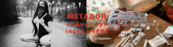 прущие грибы Вязники
