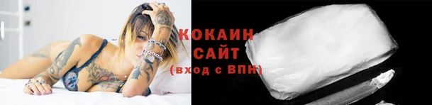 прущие грибы Вязники