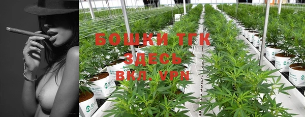 прущие грибы Вязники