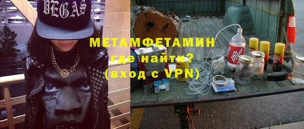прущие грибы Вязники