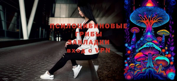 прущие грибы Вязники